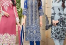 new-style-salwar-suit-kameez-designs-for-women