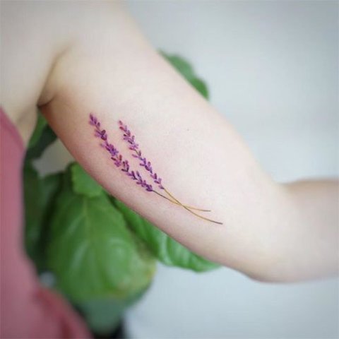 Your-Lavender-Dream-Tattoos